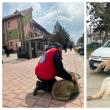 „Miresele” de la „nunțile de câini” din zonele Burdujeni, Zamca și Mărășești au ...