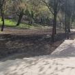 În ciuda mobilizării de forțe, aleea de acces spre Cetate prin Parcul Șipote nu poate fi finalizată până la Paște