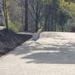 În ciuda mobilizării de forțe, aleea de acces spre Cetate prin Parcul Șipote nu poate fi finalizată până la Paște