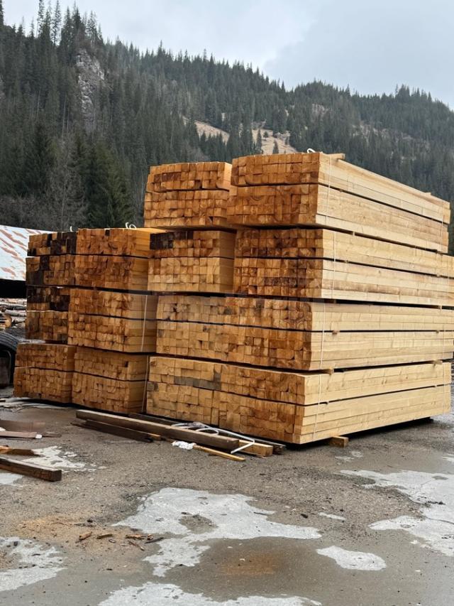 Surplusuri de material lemnos identificate de Garda Forestieră Suceava la un operator economic din Cârlibaba 1