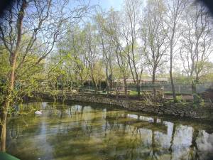 Lacul de la Zoo Șoimaru, unde se poate pescui