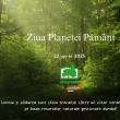 ASFOR: Lemnul și pădurea sunt cheia tranziției către un viitor verde, construit pe baza ...