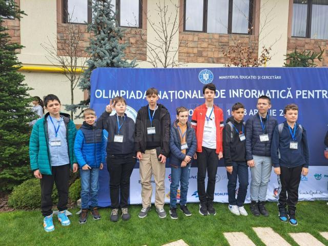 Lortul de la Olimpiada de informatică