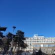 Ieșeanul mușcat de o viperă la Voroneț a suferit, miercuri, o nouă intervenție chirurgicală
