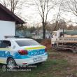 Nu mai puțin de cinci transporturi ilegale de material lemnos, depistate într-o singură zi