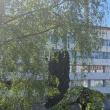 Sediu IPJ Suceava modernizat