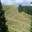Elita alergării montane mondiale vine la Câmpulung Moldovenesc