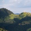 Elita alergării montane mondiale vine la Câmpulung Moldovenesc