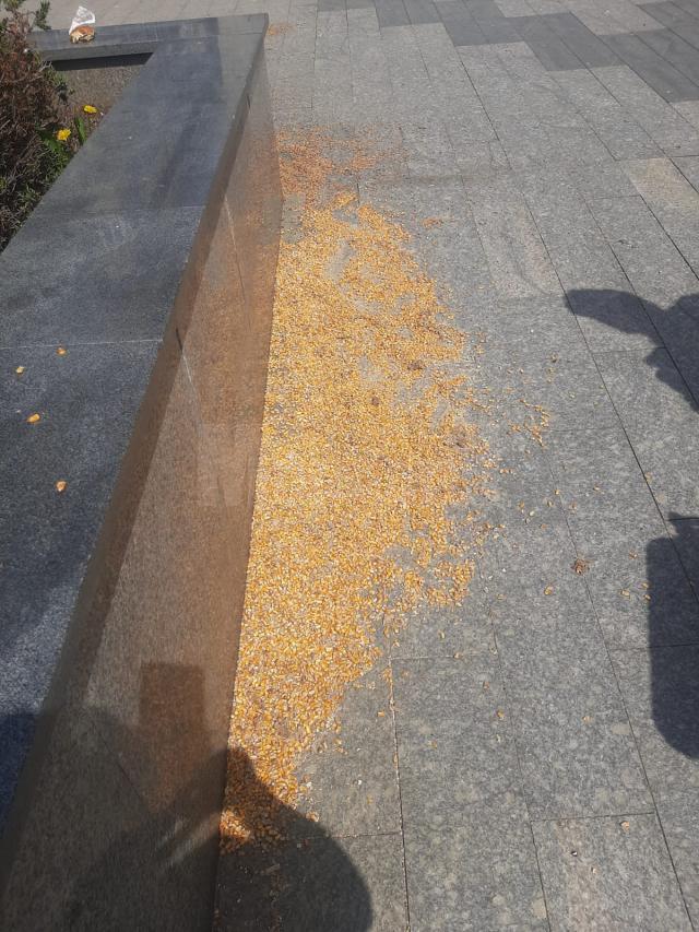 Semințe aruncate de o singură persoană