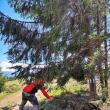 Salvamontistii dorneni au inceput lucrările de întreținere a traseelor montane