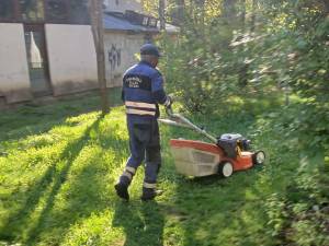 Program de cosire a spațiilor verzi de printre blocuri, în municipiul Suceava