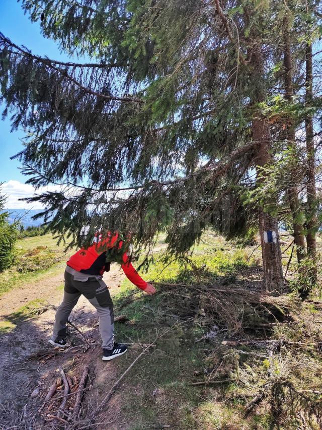 Salvamontiștii dorneni au început lucrările de întreținere a traseelor montane