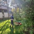 Program de cosire a spațiilor verzi de printre blocuri, în municipiul Suceava