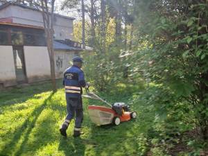 Primăria Municipiului Suceava demarează acțiunea de cosire a spațiilor verzi de printre blocuri