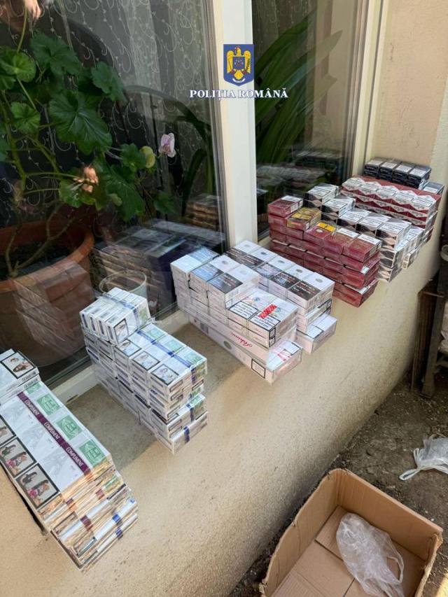 Percheziții în locuințe și mașini