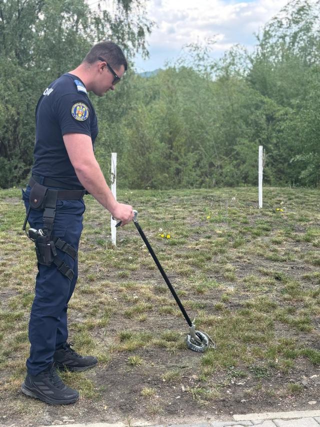 Îndepărtarea viperei