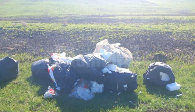 Amendat cu 30.000 de lei de Poliția Locală Șcheia, pentru aruncarea de deșeuri din construcții