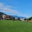 Program de psihologie sportivă dedicat antrenorilor de rugby din Suceava, derulat de Fundația Te Aud România