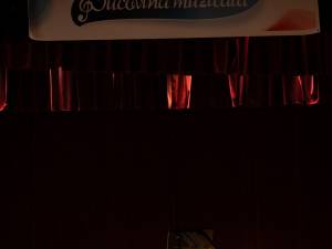 Concursul Internațional de Interpretare pianistică „Bucovina Muzicală”, ediția a IV-a, la Rădăuți și Horodnic de Sus