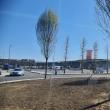 Lucrările de extindere la Iulius Mall Suceava vor fi inaugurate pe 15 mai