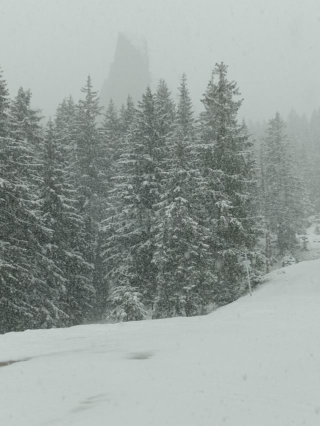 Iarna s-a reîntors în zonele montane din județul Suceava