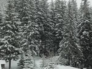 Iarna s-a reîntors în zonele montane din județul Suceava