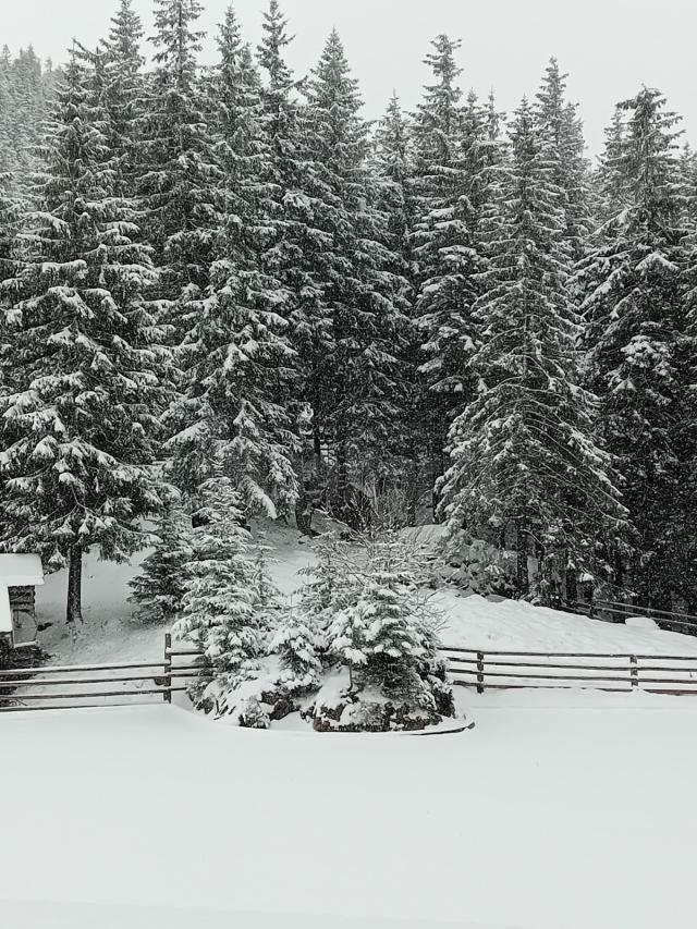Iarna s-a reîntors în zonele montane din județul Suceava