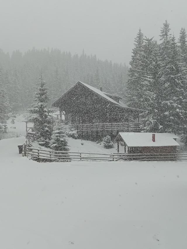 Iarna s-a reîntors în zonele montane din județul Suceava
