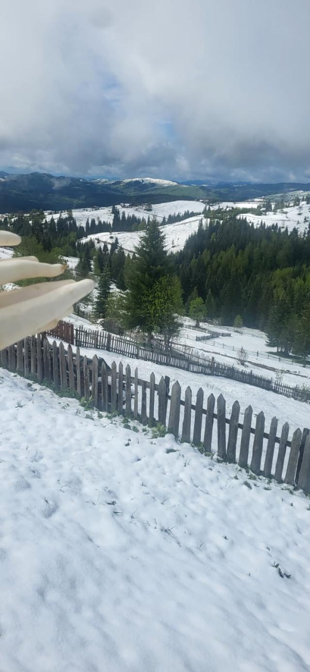 Iarna la Ulma