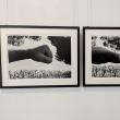 75 de lucrări realizate de 10 fotografi din România și 10 fotografi din China, expuse la Muzeul de Istorie