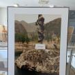 75 de lucrări realizate de 10 fotografi din România și 10 fotografi din China, expuse la Muzeul de Istorie