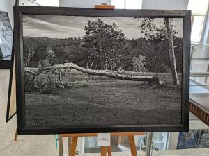 75 de lucrări realizate de 10 fotografi din România și 10 fotografi din China, expuse la Muzeul de Istorie