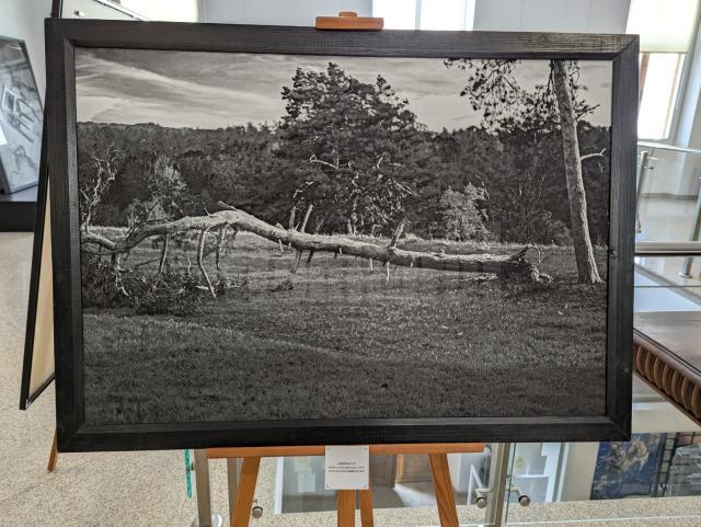 75 de lucrări realizate de 10 fotografi din România și 10 fotografi din China, expuse la Muzeul de Istorie