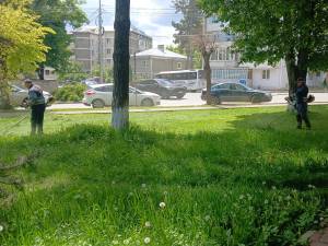 Programul de cosire a spațiilor verzi pentru săptămâna viitoare, în municipiul Suceava