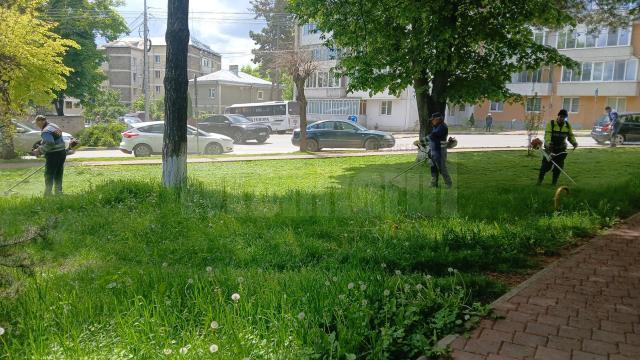 Programul de cosire a spațiilor verzi pentru săptămâna viitoare, în municipiul Suceava