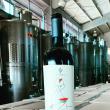 Gramma Wines