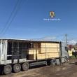 Patronul pensiunii ”Codrii Bucovinei” din Molid, depistat în trafic cu un transport ilegal de 50 mc de cherestea
