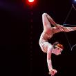 Circul Belluci a venit în Suceava cu un spectacol uimitor - ”Călătorie în timp”