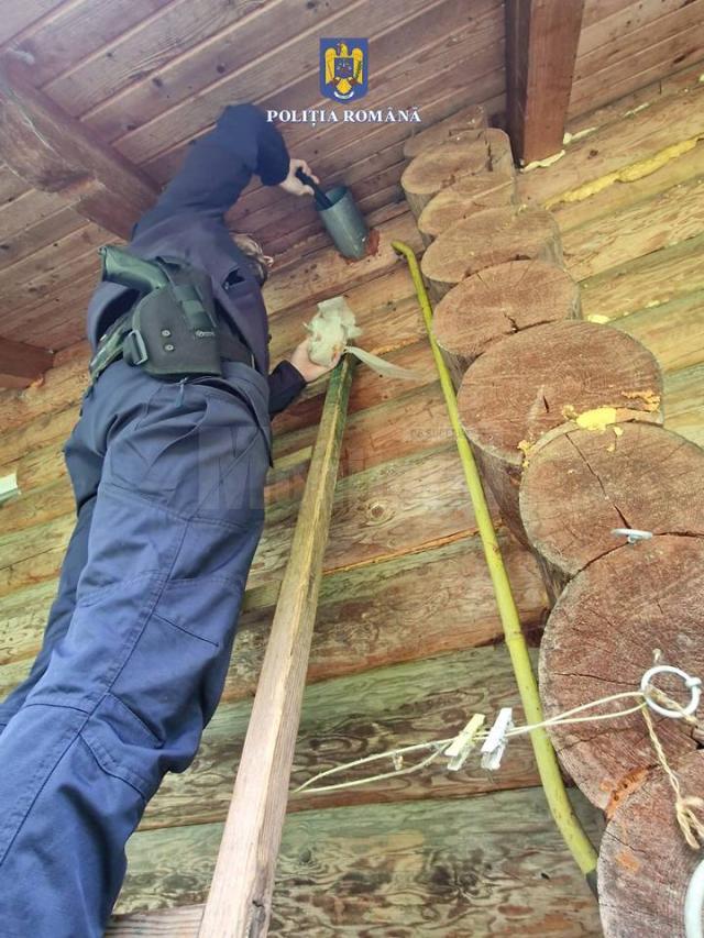 Noi percheziții la locuința lui Nicolae Goicea, în căutare de muniții și a unei arme letale deținute ilegal