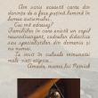 „De mână cu autismul”, o carte-document semnată de Amada Lupașcu va fi lansată la Cafeneaua Palo Santo