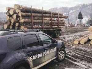 Amenzi și confiscări de peste 360.000 lei aplicate de Garda Forestieră Suceava în luna aprilie