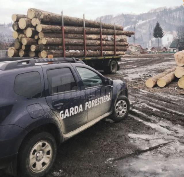 Amenzi și confiscări de peste 360.000 lei aplicate de Garda Forestieră Suceava în luna aprilie