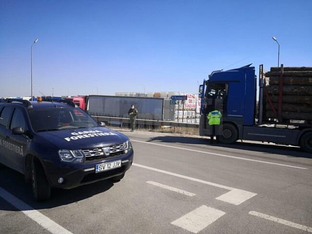 Amenzi și confiscări de peste 360.000 lei aplicate de Garda Forestieră Suceava în luna aprilie