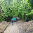 Cale de acces în Parcul Șipote, curățată și igienizată