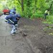 Cale de acces în Parcul Șipote, curățată și igienizată