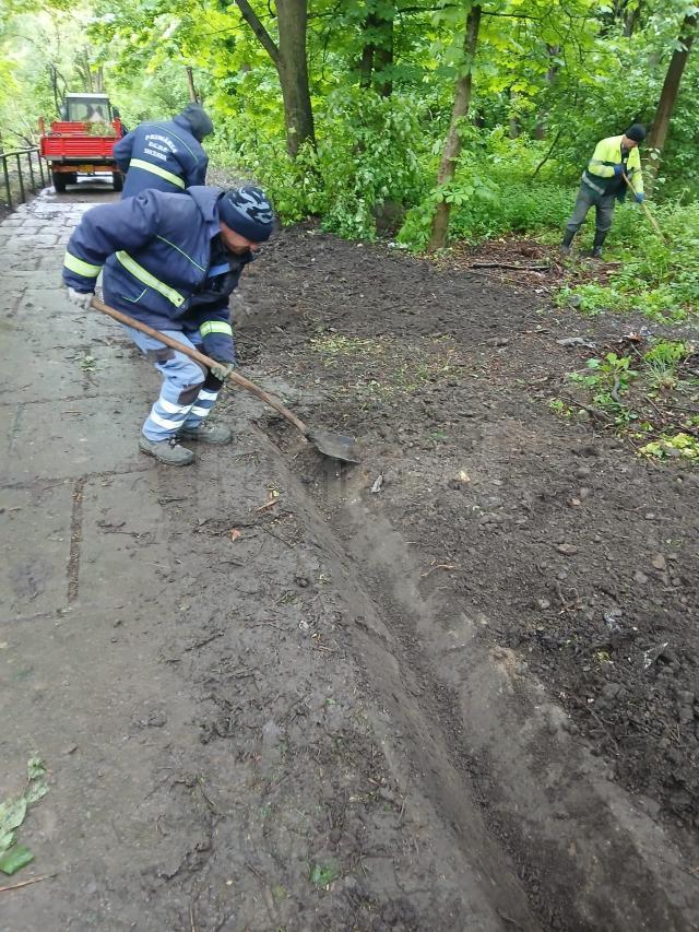 Cale de acces în Parcul Șipote, curățată și igienizată