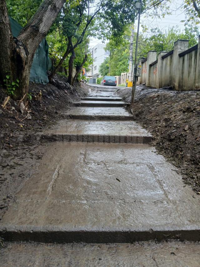 Cale de acces în Parcul Șipote, curățată și igienizată