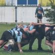 Sucevenii, in negru, s-au calificat in finala mare a campionatului national de rugby juniori I