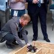 Vehiculul RoboCar al echipei din Ilmenau la startul competiției