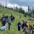 Elevi și profesori de la Colegiul Alimentar au plantat 500 de puieți de molid la Pojorâta